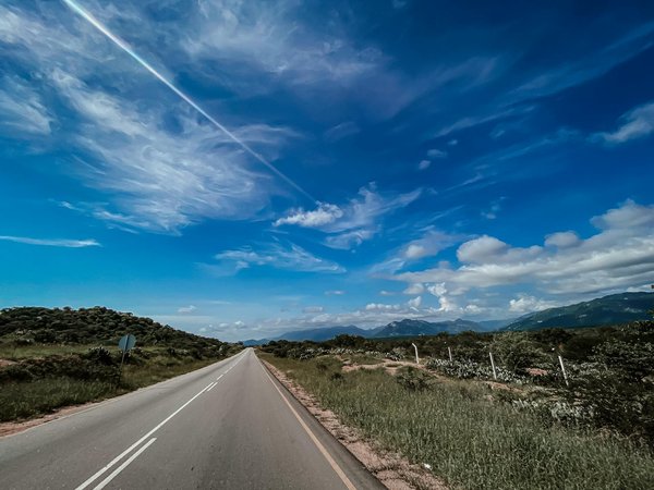 Types d'airbags : une compréhension détaillée